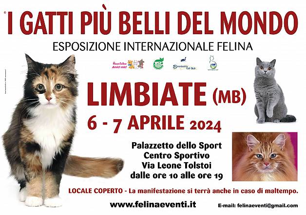 I gatti piu' belli del mondo - esposizione internazionale felina